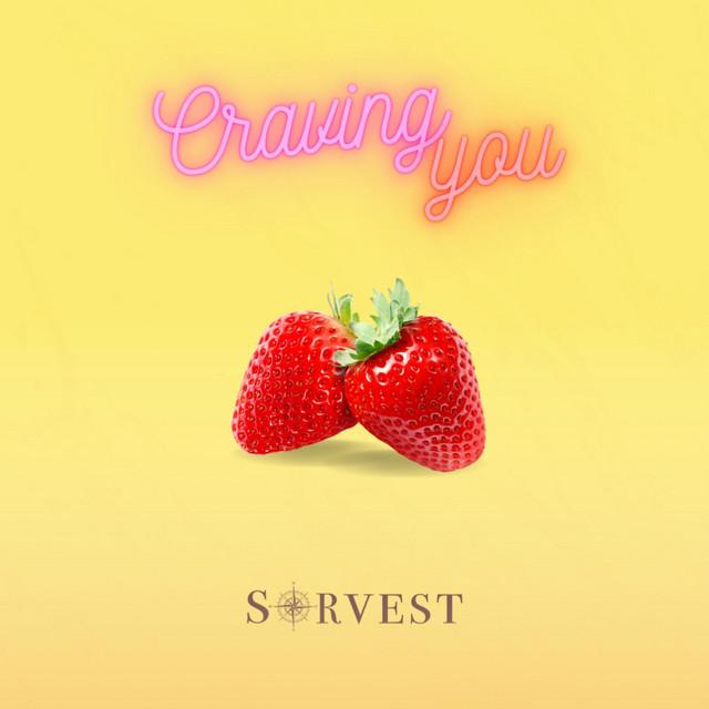 Album artwork for Sørvest - Craving You